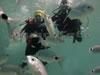 discover scuba diving in cyprus with scuba tech